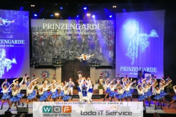 prinzengarde_sitzung_14012017_234