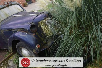 quadflieg_bau_jubilaeum_28092023_065