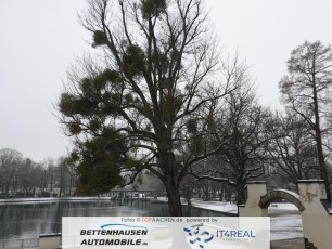 aachen_winter_09012021_011