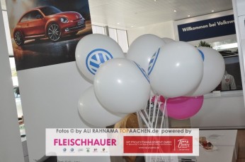 fleischhauer_praesentation_26092015_05