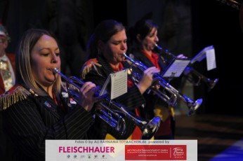 eulenspiegel_sitzung_14012017_391