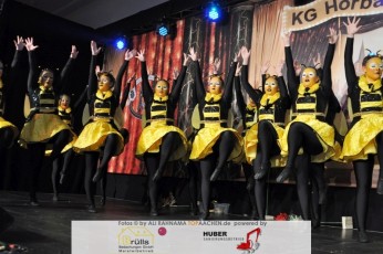 kg_horbach_kostuemsitzung_04022017_412