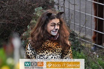 rosenmontagszug_12022018_177